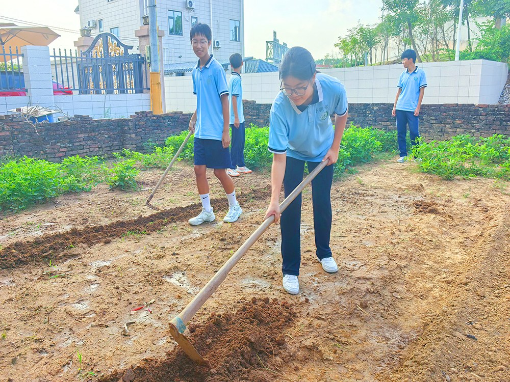 福建宁德叛逆娃娃培训学校怎么联系?本地寄宿培育机构择校指南